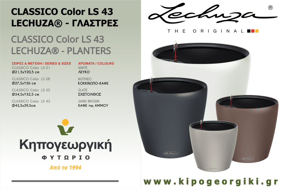 CLASSICO Color LS 43 LECHUZA Self-Watering Planter Complete